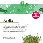 Refil Kit Brotos | Agrião